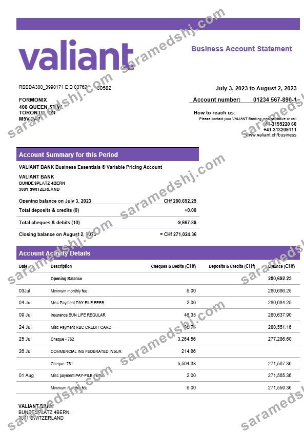 Valiant Bank enterprise account statement Word and PDF template
